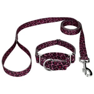 Country Brook Petz® Pink Leopard Print Martingale Dog Collar and Leash, Large