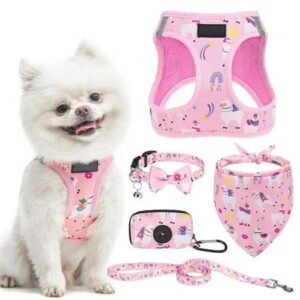 PUPTECK Adjustable Dog Harness Collar and Leash Set, Step in No Pull Pet Harness for Small Medium Dogs Puppy Cats Outdoor Walking, Soft Mesh Padded Reflective Vest Harnesses, Light Pink Alpaca S