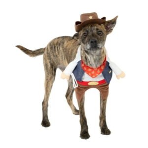 Vibrant Life Halloween Cowboy Costume for Dogs and Cats, Multicolor, Extra Small