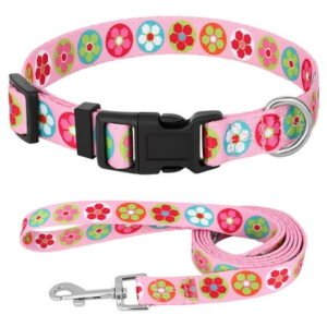 Didog Floral Dog Collar and Leash Set Flower/Bone/Strip Pattern Beagle Bulldog Yorkie-Colorful Nylon Pet Dog Collar Puppy Cat Walking Leash for Small Medium Dog