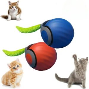 Interactive Cat Toy