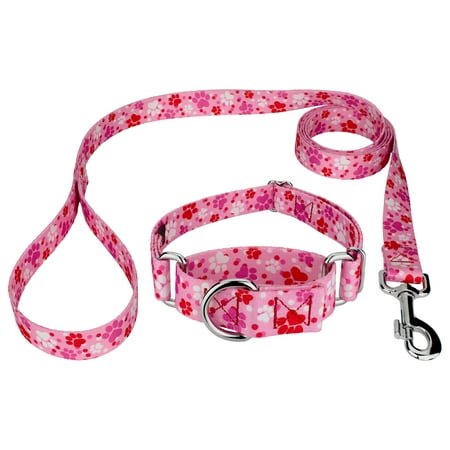 Country Brook Petz® Puppy Love Martingale Dog Collar and Leash, Extra Large