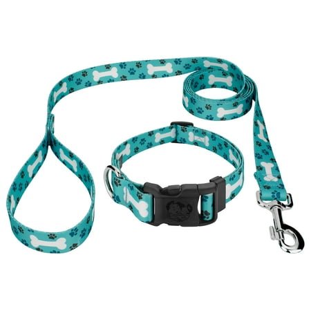 Country Brook Petz® Deluxe Oh My Dog Collar and Leash, Large
