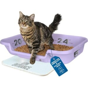 Kitty Go Here Senior Cat Litter Box for Cats Who Can’t Cope With A Traditional Litter Box Lavender