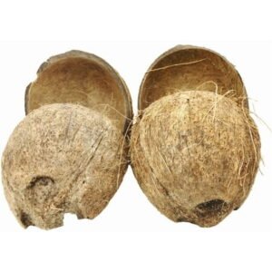 Bonka Bird Toys Pack 4 Coconut 1/2 Shell with Fiber