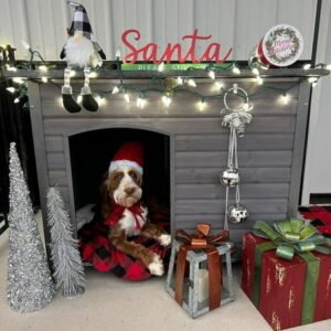 BUTINGLALE Dog House Outdoor Insulated Dog House for Small Medium Large Dogs, Natural Wood with Iron Frame, Waterproof Roof Raised Feet