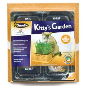 Pioneer Pet Kittys Garden in Wooden Box – 1 count
