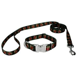 Country Brook Design® Black Candy Cane Premium Dog Collar & Leash