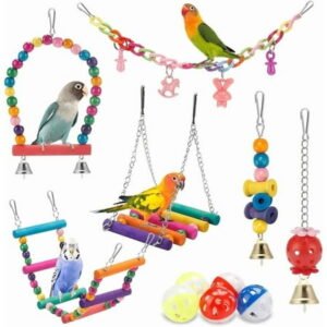 Colorful Bird Toys for Parakeets, Budgies, Conures, Cockatiels, and More – Swing, Chew, Climb, and Hang