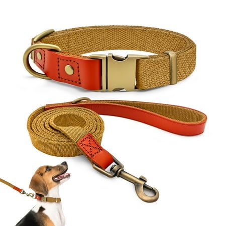 Qianruida Nylon Dog Collar and Leash Set Durable – Adjustable with a Solid Fastening, Comfortable and Durable, Ideal for Walking, Training and Outdoor Safety, Khaki, M