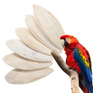 6 Pcs Cuttlefish Bone Bird Chewing Toys Parrots Cockatoo Toys Chew Blocks Biting Bone Bird Supplies