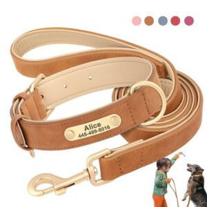 Didog Personalized Dog Collar and Leash set Soft Padded Leather for Small Medium Large Dogs Bulldog