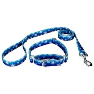Country Brook Petz® 1 inch Winter Wonderland Martingale Dog Collar and Leash, Medium