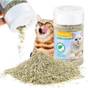 Havenfly Natural Catnip for Cats, Pure Powder Catnip in Tin, Favorite Catnip – Ideal for Toys and Training, 30g