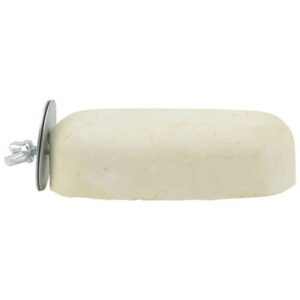 Arborister Bird Beak Stone: Parrot Calcium Grinding Stand