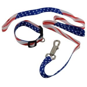 USA Patriotic American Military Memorial Labor Day Dog Collar and Leash Set