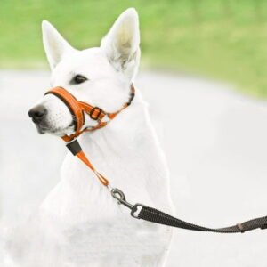 Dog Head Collar No Pull Head Halter With Soft Padding Anti-Pull Muzzle Leash For Breed Nose Leash Collar For Easy Control On Walks(Orange L)
