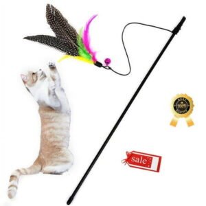 Fridja Feather Teaser Cat Toy – 1 Pcs Retractable Cat Toys Wand Assorted Feathers Birds Worms Catcher with Bell, Interactive Teaser and Funny Exercise for Kitten Cats