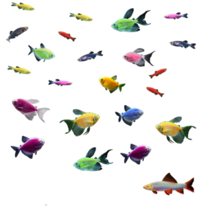GloFish® 55G Community Mixed Species 29ct Live Fish Assortment