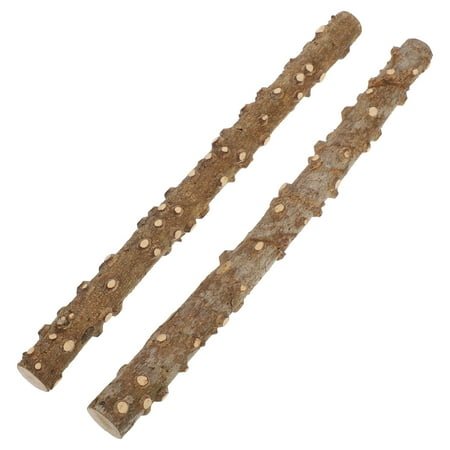 Raindrops 2Pcs Reptile Corner Climbing Stick with Suction Cup for Lizards and Snakes Great for Terrarium Habitat Embellishment and Bearded Dragon Tank Decoration