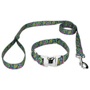 Country Brook Petz® Premium Bright Paisley Dog Collar and Leash, Medium
