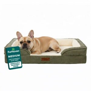 Furhaven Pet Products Medium Nest-Top Perfect Comfort Sofa Orthopedic Ped Bed, 30″x20″, Green