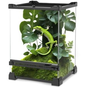 NEPTONION Mini Reptile Glass Terrarium 8″x8″x12″ with Aluminum Alloy Frame, Single Swinging Door