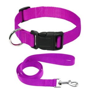 Plain Pet Puppy Cat Dog Collar and Matching Leash set Durable Nylon Rope Adjustable for Small Medium Large Dogs
