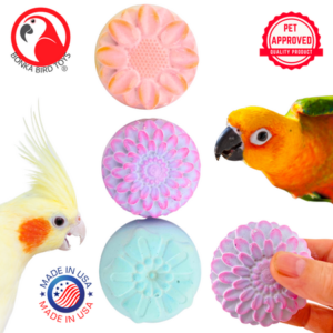 Bonka Bird Toys 2860 Flower Power Calcium Treat Parrot Beak Bone Health Mineral