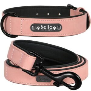 Didog Personalized Dog Collar and Leash Set Padded Leather Custom Engraved Name Collars