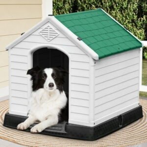 Dextrus Large Plastic Dog House Outdoor Indoor Dog Puppy Shelter Water Resistant with Air Vents and Elevated Floor (41”L*38”W*39”H, Green)
