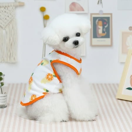 kladzum Pet Dog T Shirt Small Dogs Clothes Dog Tshirt, Pet Dog Summer New Clothing Cute Thin Five-Color Fruit Vestscasual Unisex, Puppy Shirts Dog Vests Apparel