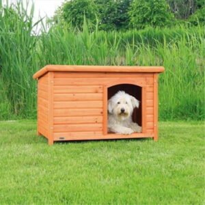 Dog Club House, Large