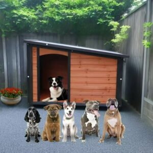 MIDOQIN Dog House Outdoor Indoor, Wooden Dog Kennel with Winter Raised Feet Puppy Shelter