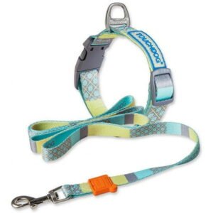 Touchdog ®’Trendzy’ 2-in-1 Matching Fashion Designer Printed Dog Leash and Collar