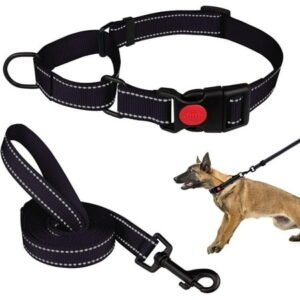 Solennerer Dog Collar Dog Leash Sets Heavy Duty Pet Leash Lead Rope for Small Medium Large Dogs Walking Running Training