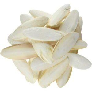 Prevue Cuttlebone Birdie Basics Medium 5in. Long – 25 count