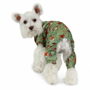 Vibrant Life Halloween Pajamas for Dogs & Cats, Fall Fox, Green, Extra Small