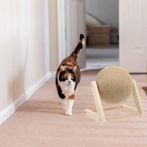 LULULION Khaki Cat Comforting Toy 1Set for Indoor Cats and Home Use