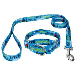 Country Brook Petz® Blue Loveable Rescue Martingale Dog Collar and Leash LTD, S