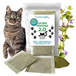 Caroline’s Cats Organic Catnip Packets for Cat Toys 2.0 – More Potent Refill Pouches for Flapping Bird, Flopping Fish, and Others, 10 Tea Bags