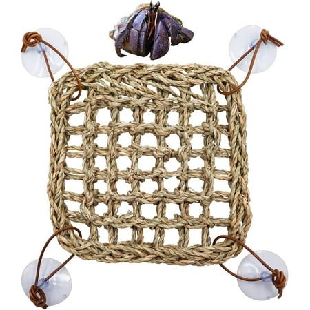 Hermit Crab Climbing Toys Seagrass Mat with Suction Cup, GIXUSIL Natural Seagrass Woven Net Hammock, Small Reptiles Accessories for Hermit Crab Hamster Guinea Pig Rats 7.1 x 7.1in