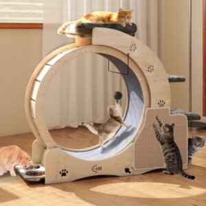 FOOWIN 7-in-1 Cat Wheel, 40″ Cat Exercise Wheel for Indoor Cats, Cat Treadmill with Carpeted Runway and Safety Lock