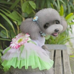 Bouanq Small Dog Dress Cute Gauze Tutu Princess Dress Sunflower & Bowknot Printed Puppy Dresses Apparel for Girl Small Dogs in Summer, S-2XL