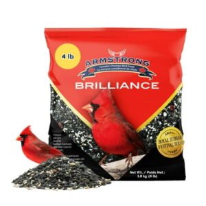 Armstrong Wild Bird Food Royal Jubilee Brilliance Blend, 4 Pounds – with Black Oil Sunflower, Safflower, Peanuts, Dried Raisins & Cherries for Northern Cardinals and Songbirds