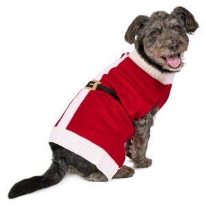 Vibrant Life Holiday Pet Sweater for Dogs, Santa, Red, Medium