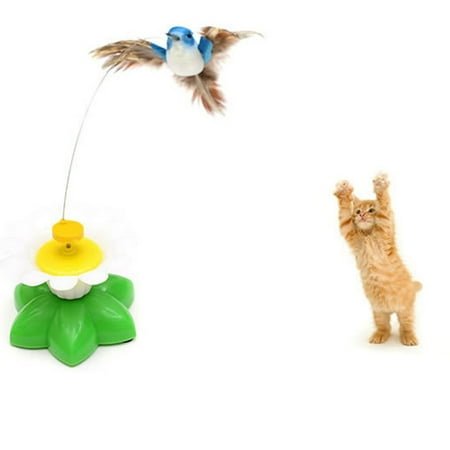 Darzheoy Interactive Cat Toys Cat Exercise Tumbler, Rechargeable Cat Toys for Indoor Cats Spin Birdie Game Teasing Kitty, Extra Long Birdie Feather Wand