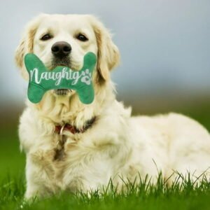Kids Toys under $5 Fufafayo Dog Christmas Toys Santa, Stuffed Squeaky Toys for Dogs Puppy, Plush Dog Toy for Large Medium Small Dogs, Interactive Durable Dog Chew Toys