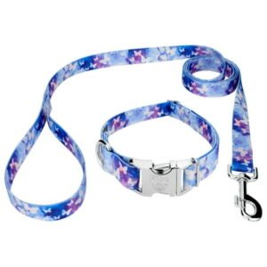 Country Brook Petz® Premium Watercolor Butterflies Dog Collar and Leash, Large