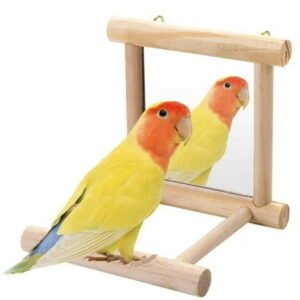 Bird Mirror Wooden Hanging Swing Stand 1 Pack （3. 93in）